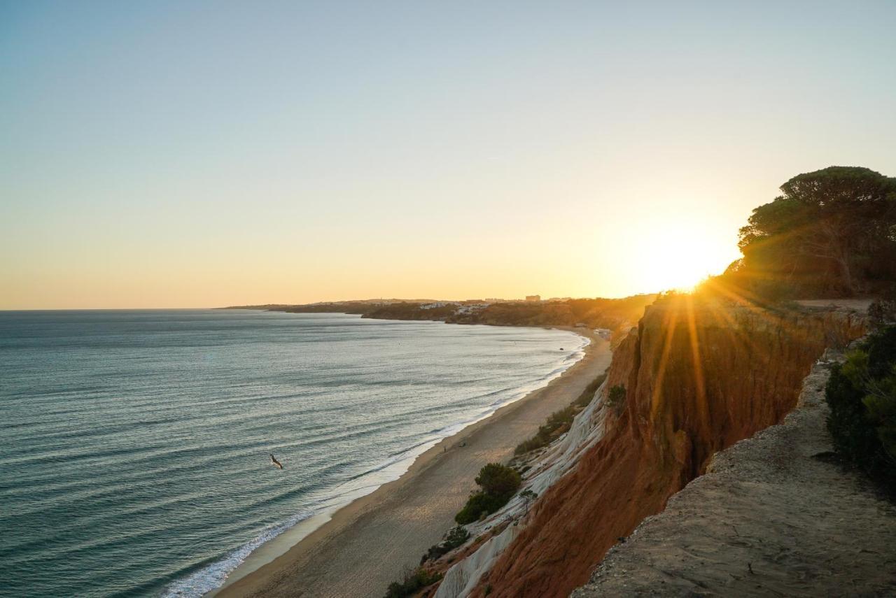 Falesia Cliff By The Portuguese Butler * Albufeira